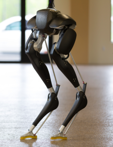 Picture of a short two legged robot called cassie created by the company agility robotics