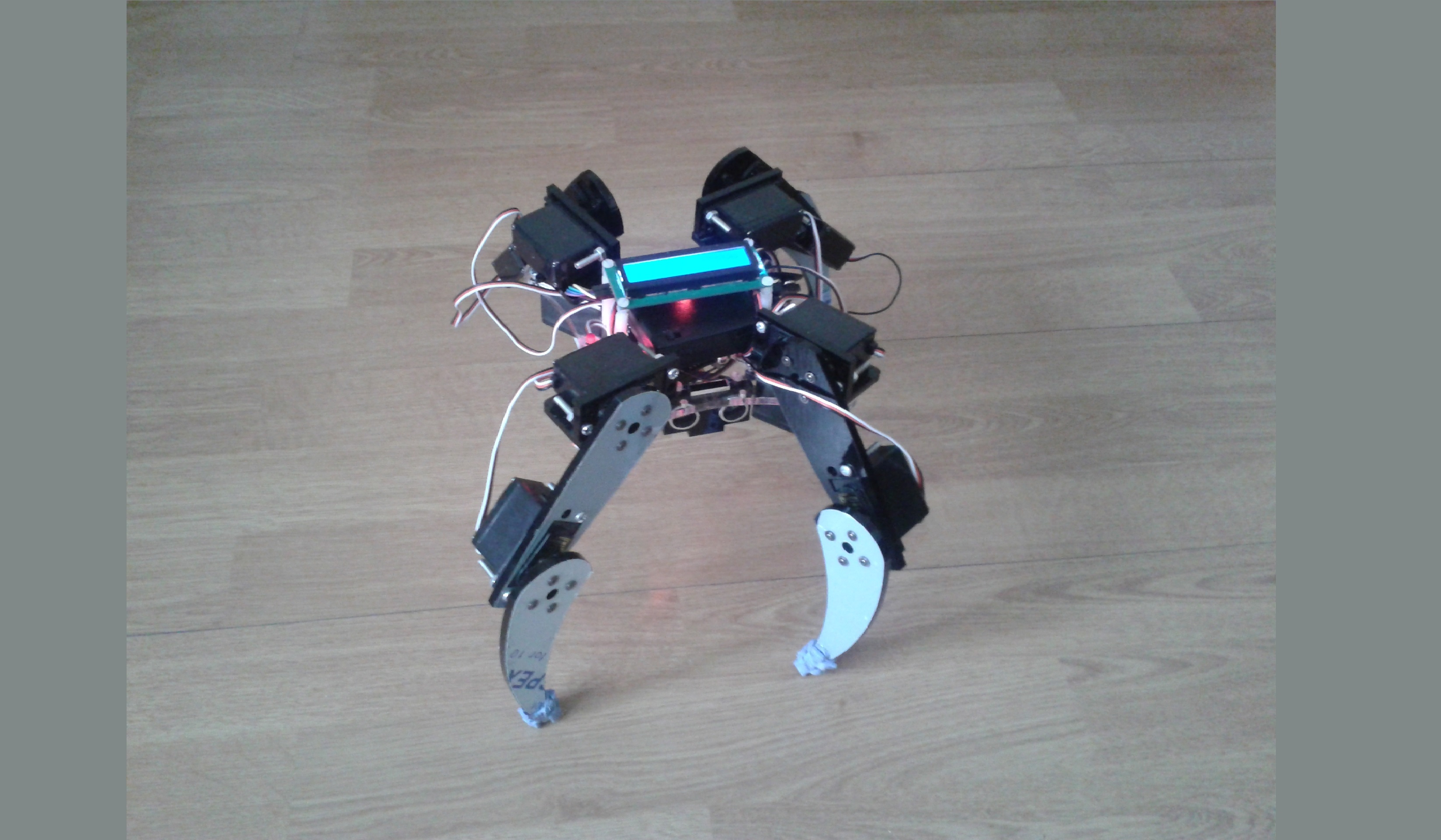 Robot standing up as high as it can on stretched out legs